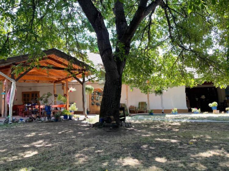 Guesthouse Kohari Egerszalók Εξωτερικό φωτογραφία